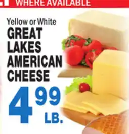 Bravo Supermarkets GREAT LAKES AMERICAN CHEESE offer