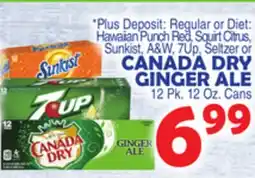 Bravo Supermarkets CANADA DRY GINGER ALE offer