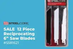 Runnings 12 Piece Reciprocating 6 Saw Blades offer
