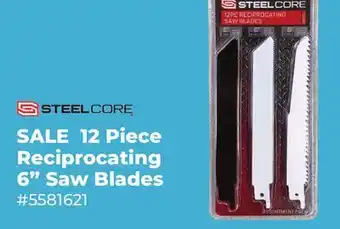 Runnings 12 Piece Reciprocating 6 Saw Blades offer