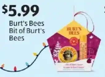 Burt's Bees Bit of Burt's Bees