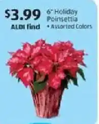 Aldi Holiday poinsettia offer