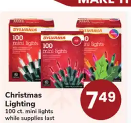 ACME Christmas Lighting offer