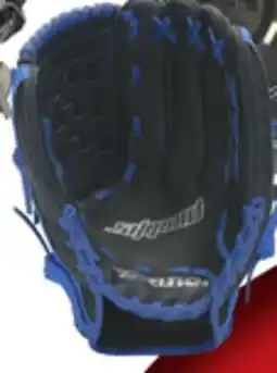 Big 5 Mizuno Shadow Series 12 Professional Model Baseball Glove offer