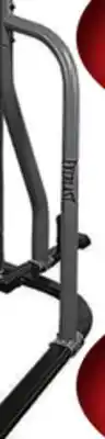 Big 5 Everlast Dual 2-Station Heavy Bag Stand offer