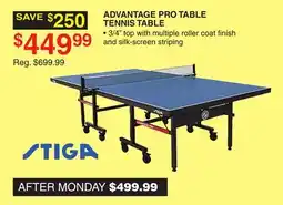 Dunham's Sports ADVANTAGE PRO TABLE TENNIS TABLE offer