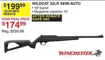Dunham's Sports WILDCAT 22LR SEMI-AUTO offer