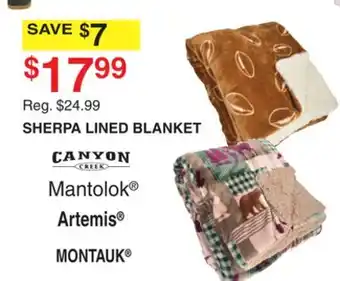 Dunham's Sports SHERPA LINED BLANKET offer