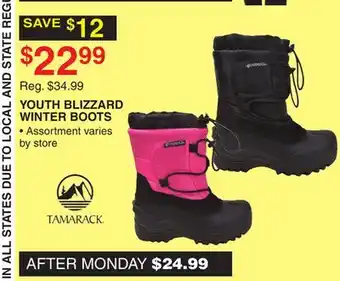 Dunham's Sports YOUTH BLIZZARD WINTER BOOTS offer