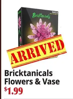 Ocean State Job Lot Bricktanicals Flowers & Vase offer
