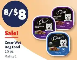 Family Dollar Cesar Wet Dog Food offer