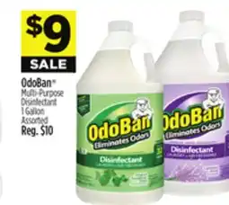 Dollar General OdoBan Multi-Purpose Disinfectant offer