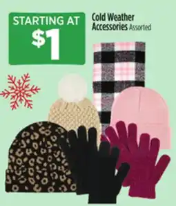 Dollar General Cold Weather Accessories offer