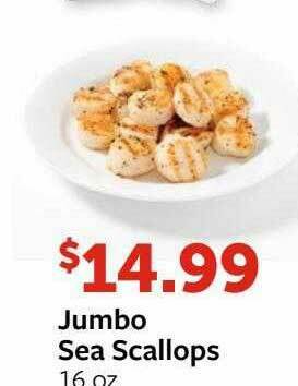 Fareway Jumbo Sea Scallops offer