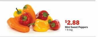 Fareway Mini Sweet Peppers offer