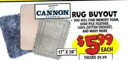 Ollie's RUG BUYOUT offer