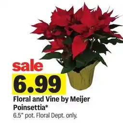 Meijer Floral and Vine by Meijer Poinsettia offer