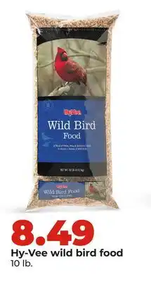 Hy-Vee Hy-Vee wild bird food offer