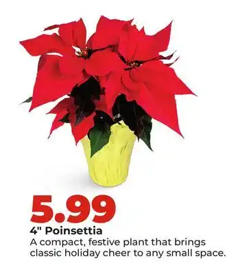 Hy-Vee 4 Poinsettia offer