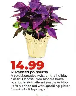 Hy-Vee 6 Painted poinsettia offer