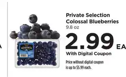Food 4 Less Private Selection Colossal Blueberries offer