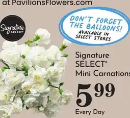 Pavilions Signature SELECT Mini Carnations offer