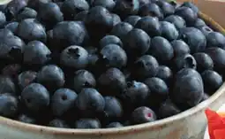 Pavilions Signature SELECT Blueberries offer