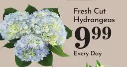 Pavilions Fresh Cut Hydrangeas offer