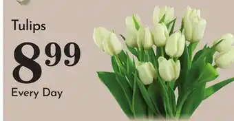 Pavilions Tulips offer