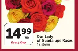 Albertsons Our Lady of Guadalupe Roses offer