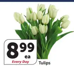 Albertsons Tulips offer