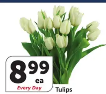 Albertsons Tulips offer