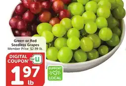 Albertsons Green or Red Seedless Grapes offer