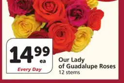 Vons Our Lady of Guadalupe Roses offer