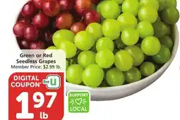 Vons Green or Red Seedless Grapes offer