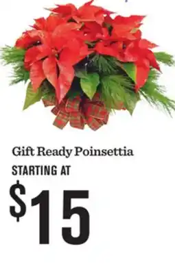Mariano's Gift Ready Poinsettia offer