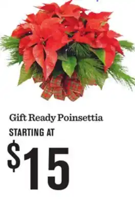 Mariano's Gift Ready Poinsettia offer
