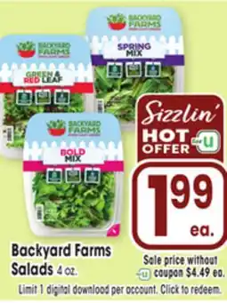 Jewel-Osco Backyard Farms Salads offer