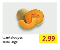 Fresh Thyme Cantaloupes offer