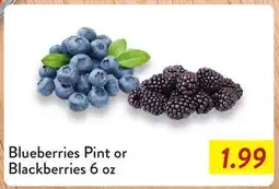 Fresh Thyme Blueberries Pint or Blackberries offer