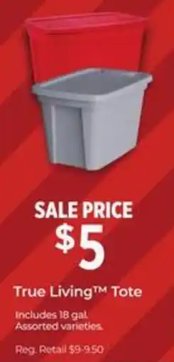 Dollar General True Living Tote offer