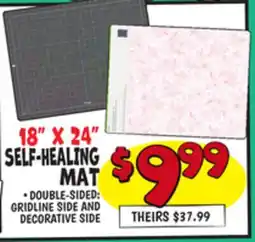 Ollie's 18 X 24 SELF-HEALING MAT offer