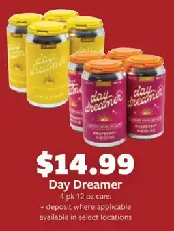Fareway Day Dreamer offer