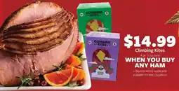 Fareway Climbing Kites offer