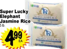 Superior Grocers Super Lucky Elephant Jasmine Rice offer