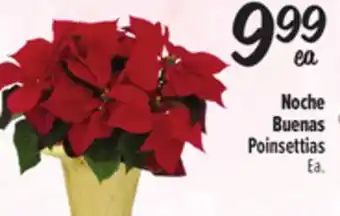 El Super Poinsettias offer