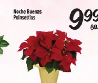 El Super Fresh Poinsettias offer