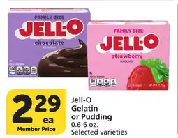 Albertsons Jell-O Gelatin or Pudding offer