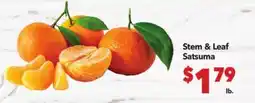 Vallarta Supermarkets Stem & Leaf Satsuma offer