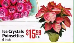 Vallarta Supermarkets Ice Poinsettias offer